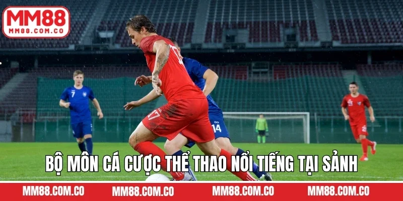 Bộ môn cá cược thể thao nổi tiếng tại sảnh cho hội viên