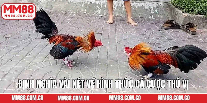Định nghĩa vài nét về hình thức cá cược thú vị