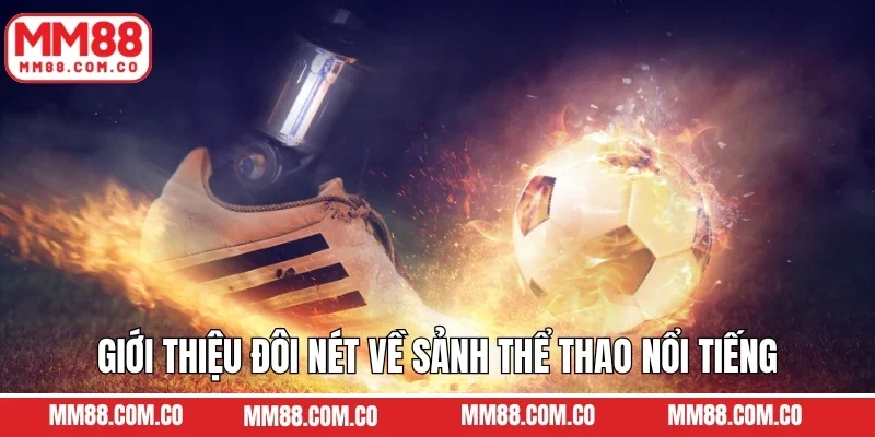 Giới thiệu đôi nét về sảnh thể thao nổi tiếng