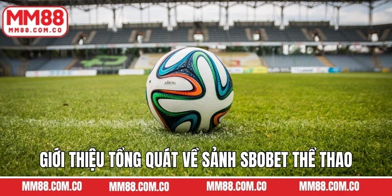 Giới thiệu tổng quát về sảnh Sbobet thể thao