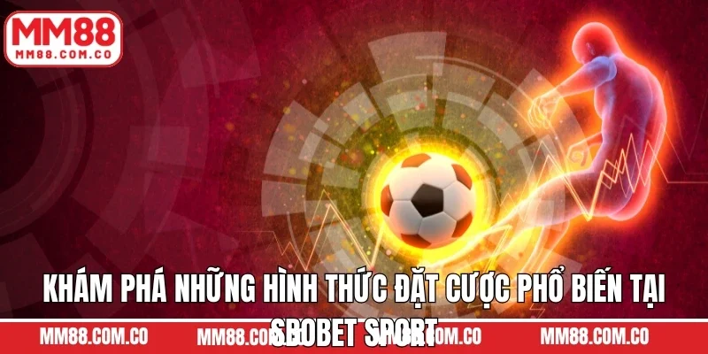 Khám phá những hình thức đặt cược phổ biến tại Sbobet Sport