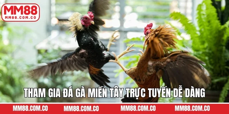Tham gia đá gà miền Tây trực tuyến dễ dàng