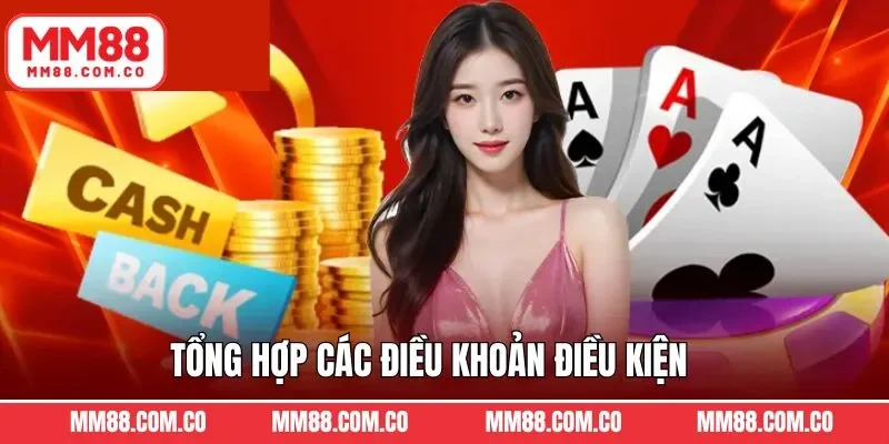 Top các chính sách điều khoản mà nhà cái đưa ra