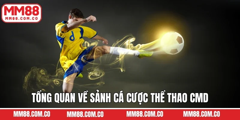 Tổng quan về sảnh cá cược thể thao CMD